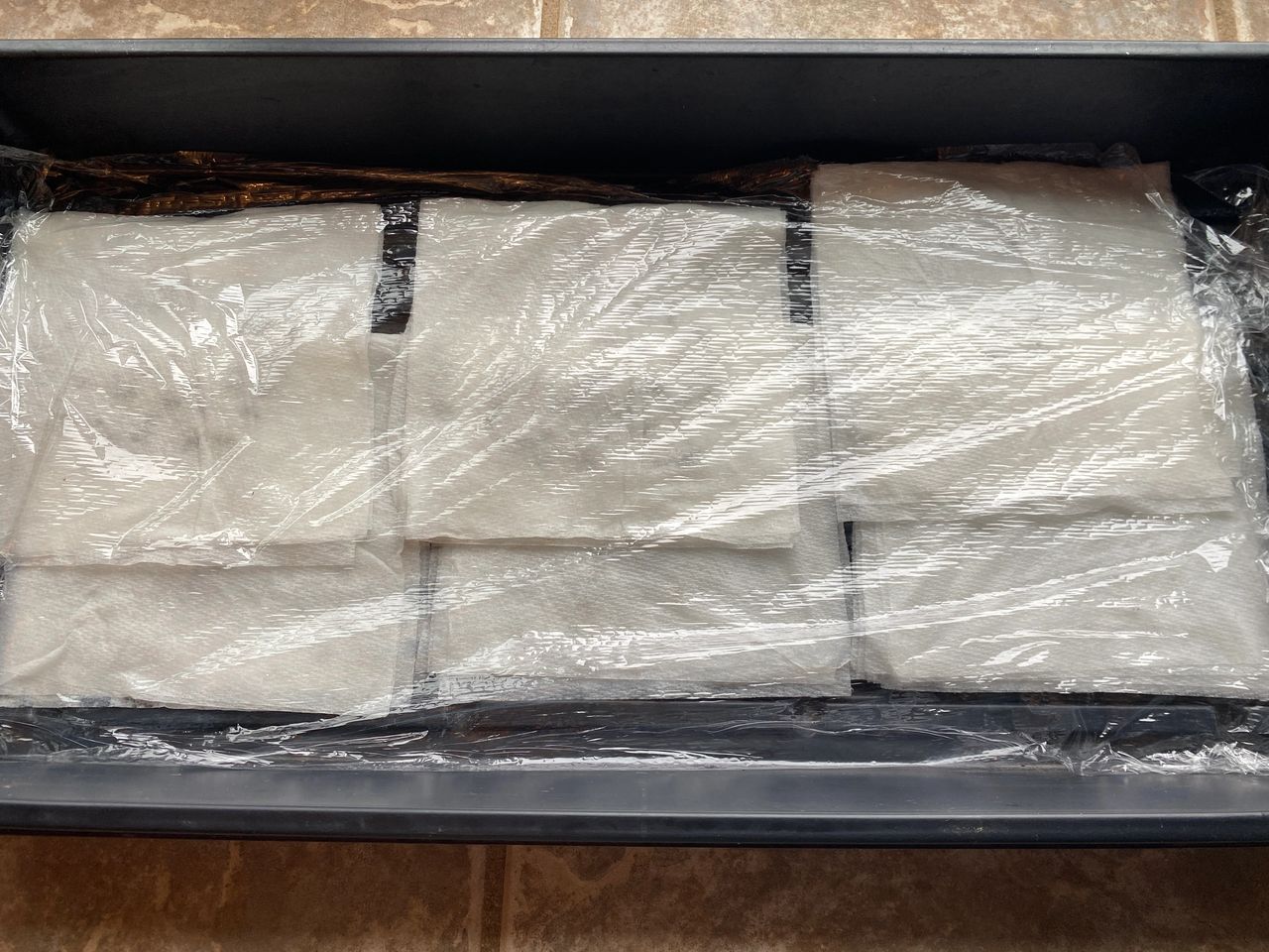 I cover the tray with plastic wrap to keep in the moisture.