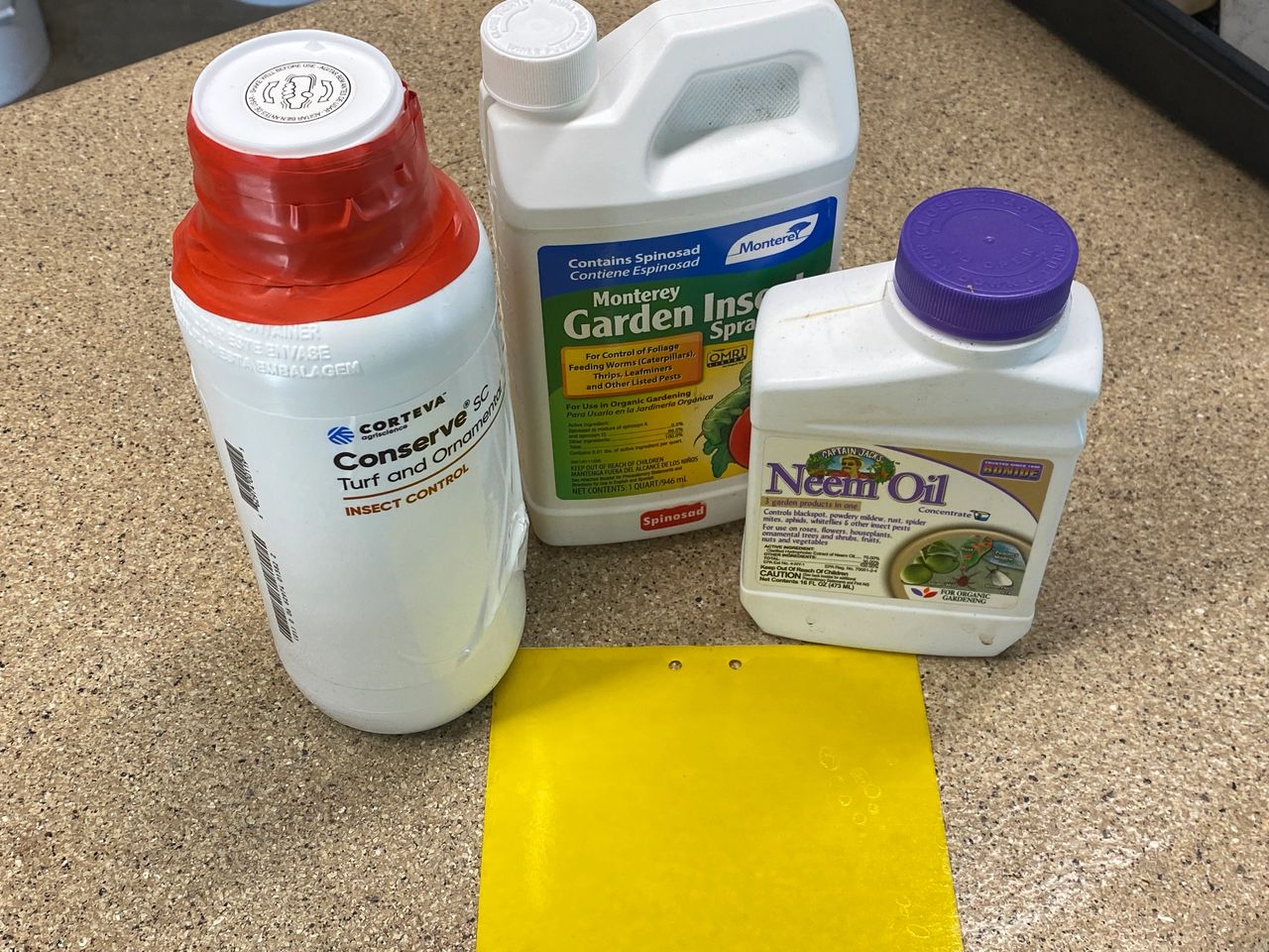 You can use Neem Oil early in the season before temperatures become too hot.  Conserve, Monterey Garden Insect Spray, or Captain Jack's Dead Bug Brew all have Spinosad which helps control thrips and aphids.