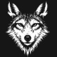 Smylin Coyote