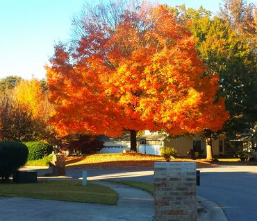 First of Fall - Huntsville, AL 