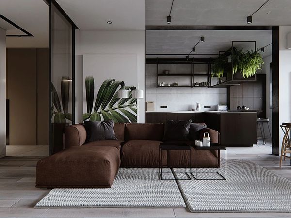 Luxury living room and kitchen