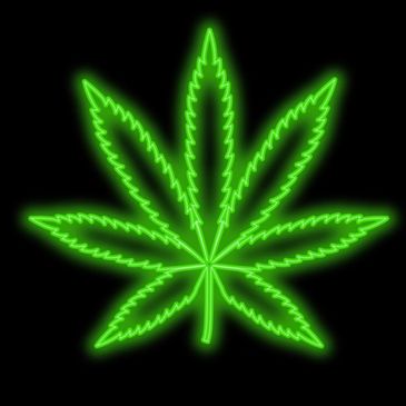 A neon-green cannabis leaf linking to reports.