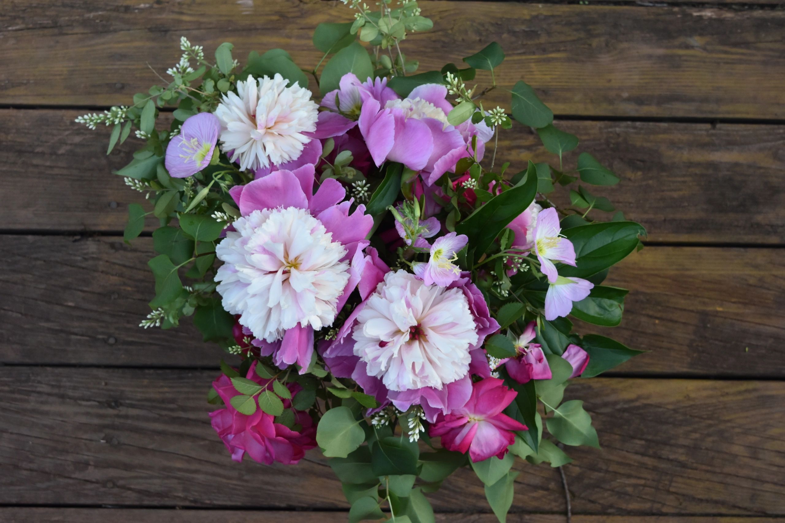 Gallery A Humble Wayside Flower