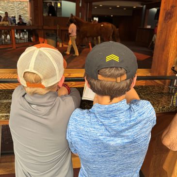 Our junior bloodstock agents in their element.