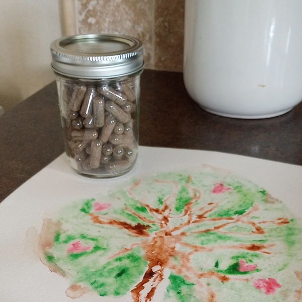 placenta capsules in jar with placenta print painting on counter with umbilical cord