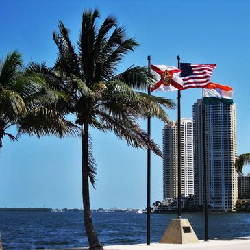 Three flags flying near palm trees by the waterfront with tall buildings in the background.