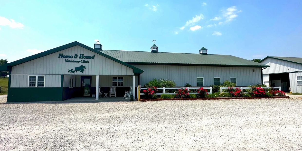 veterinary clinic in Mooresville Indiana