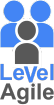 Level Agile
