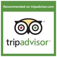 Ardoyne Plantation tour reviews on tripadvisor