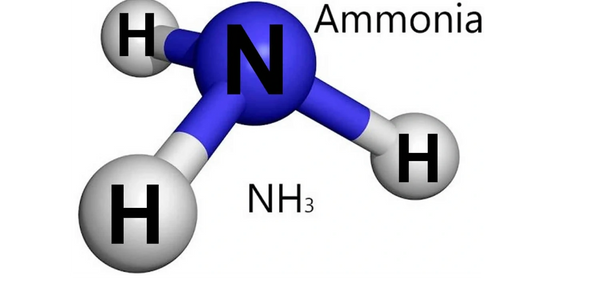 ammonia