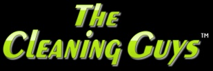 The Cleaning Guys