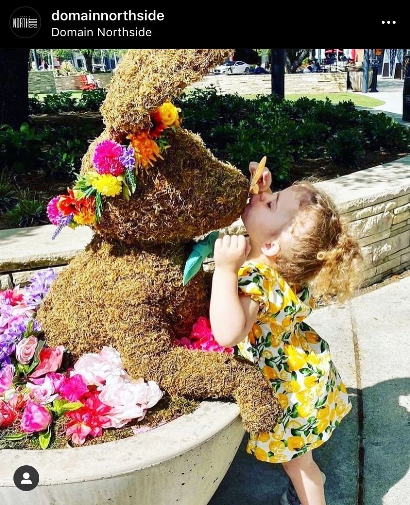 Bunny stuffed with sphagnum moss getting love from a lil admirer