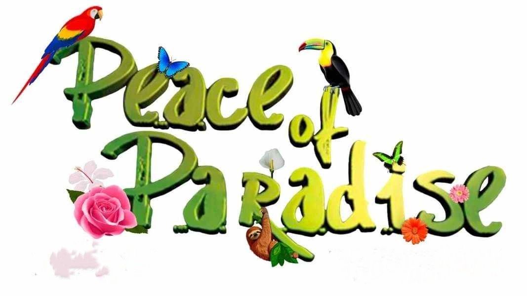 Peace of Paradise - Costa Rica