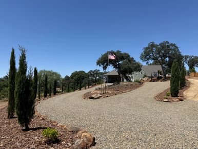 Gravel driveway lined with tall trees leading to a house with an American flag.
