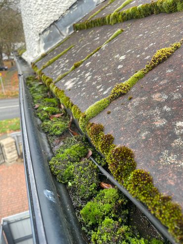 Dirty moss filled gutter, no problem we can clean it