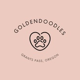 GoldenDoodles Grants Pass