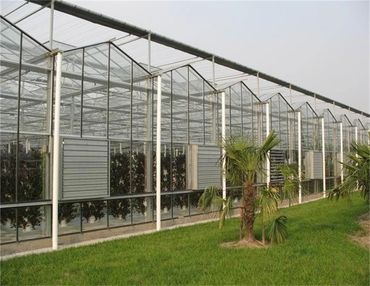 glass greenhouse with hydroponics arrayed inside