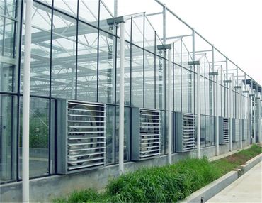 Glass greenhouse with a row of exhaust fans