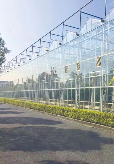 glass greenhouse reflecting the environment