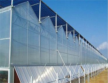 Large commercial polycarbonate greenhouse, The contemporary top choice for greenhouses