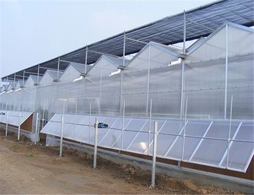 commercial polycarbonate greenhouse with retractable side-vents that help maximize air flow