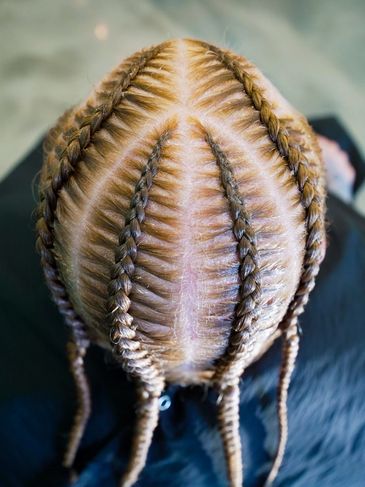 Intricately braided hairstyle with multiple sections and neat parts.