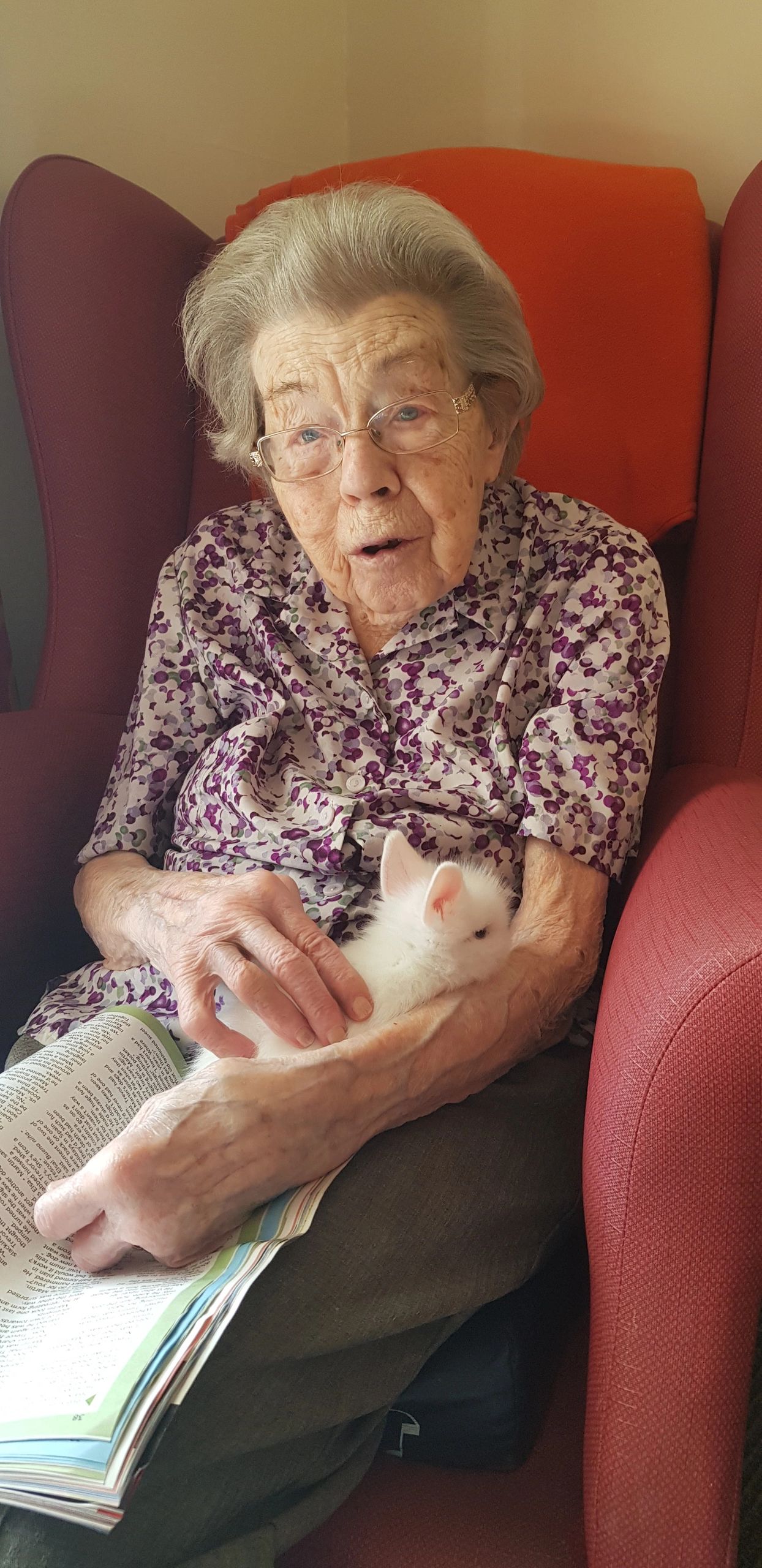 The Petting Zoo comes to Springfield House