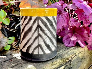 Zebra-striped pot with a yellow rim outdoors.