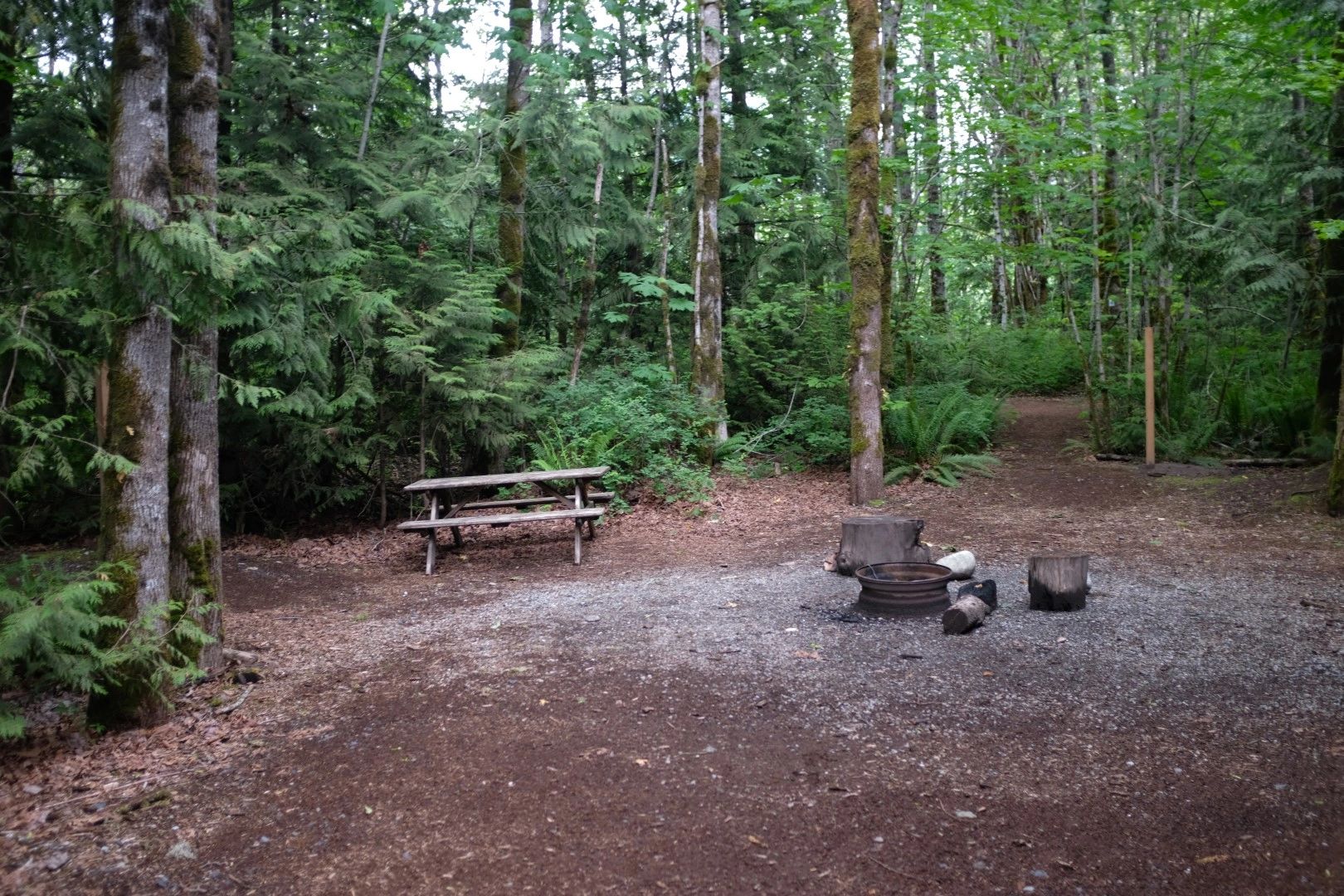 Mamquam River Campground