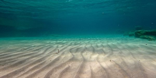 Clear blue sea