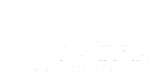 DFW Festivals Event Management