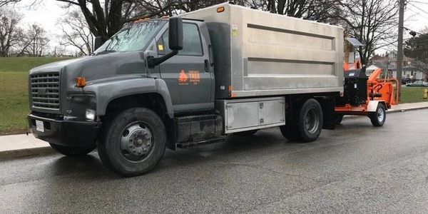 A Toronto Tree Removal Inc. woodchip truck. If you are a gardener or a landscaper, who would like a truckload of wood chips, we are glad to deliver in the GTA for free by arrangement. We deliver two-three hundred truckloads per year without charge. We do not drop off less than 17 cubic yards. Wood chips are not available for pick up. 