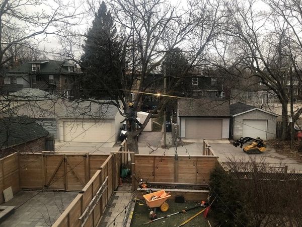 A picture of a client's backyard as the crew sets up for the removal, being sure to take care of the surroundings.