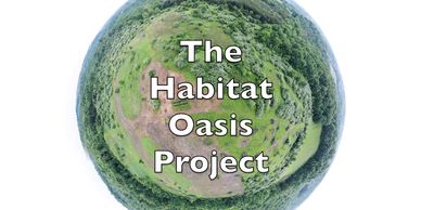 Habitat Oasis Project in Ohio is a habitat management project removing invasive species on 80 acres