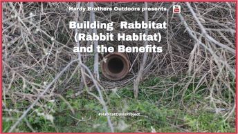 Creating, building, managing rabbit habitat or rabbitat from brush piles