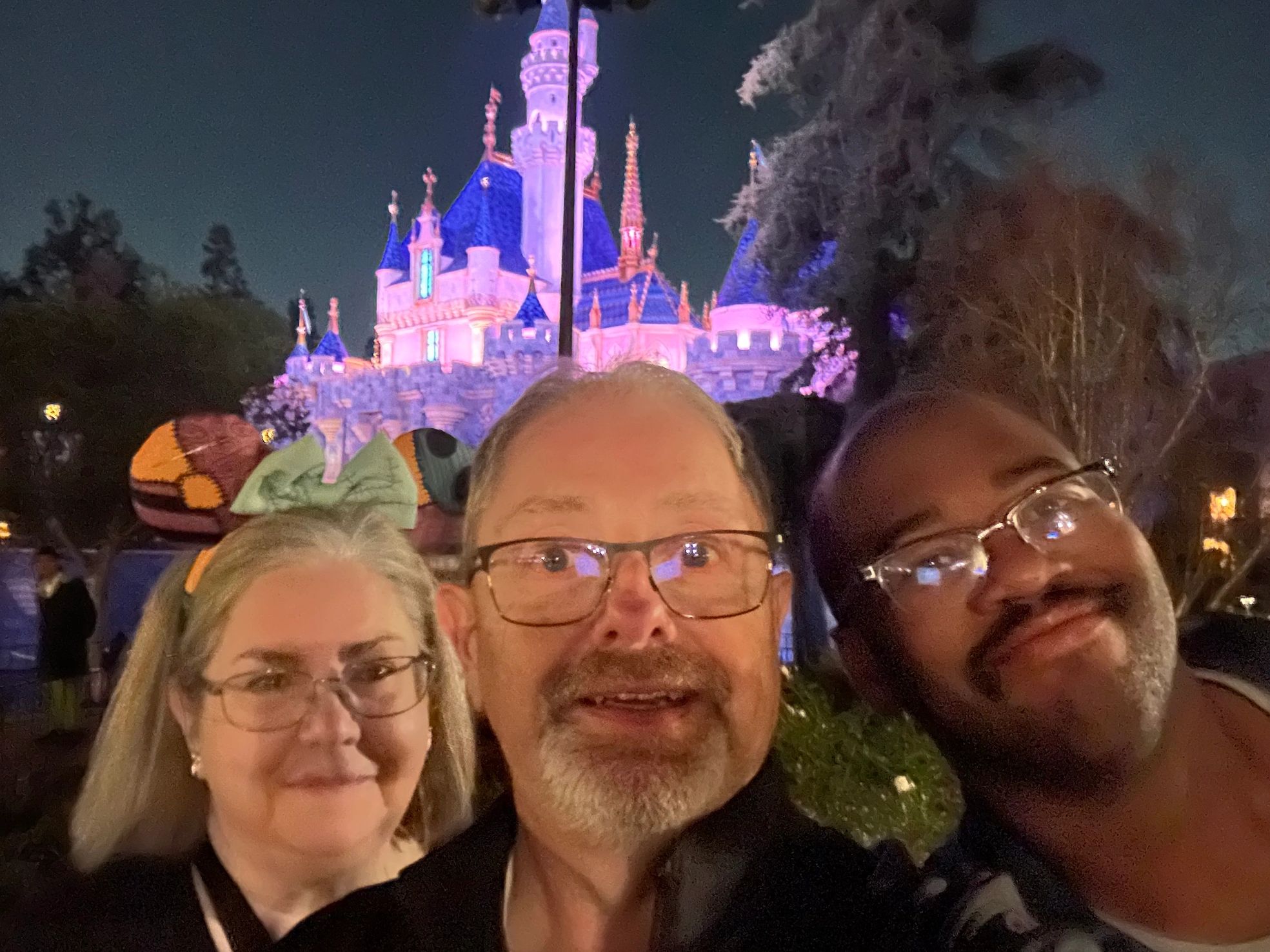 Much To Be Done at Disneyland