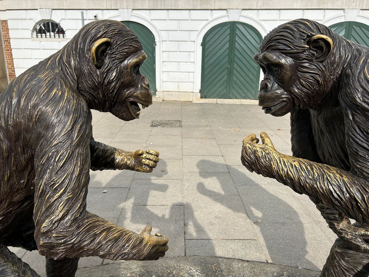 Chimps are Family art exhibit in Richmond UK