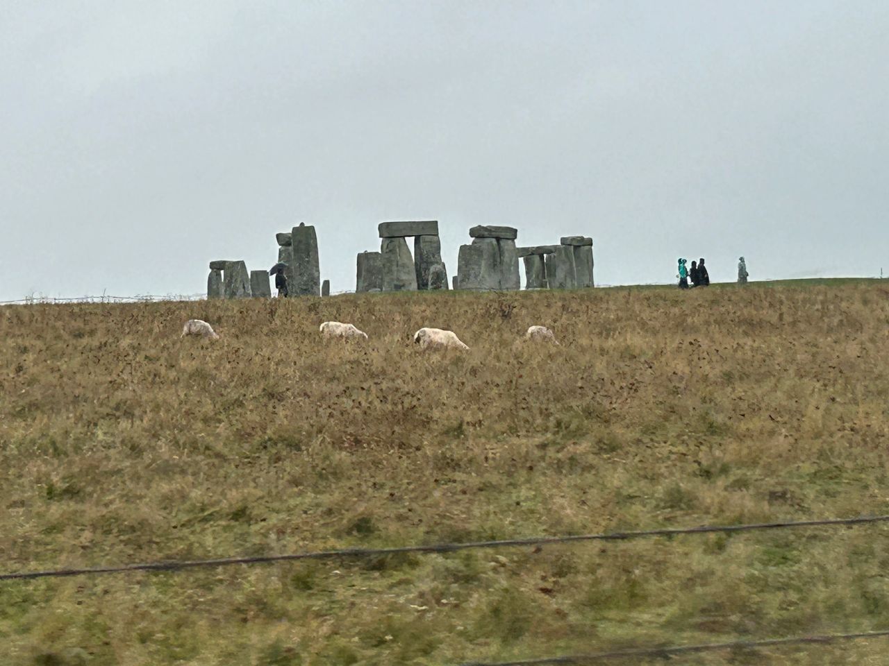 Stonehenge is located in a very rural area, about two hours from the heart of London. In the fields surrounding the stones, you will still see sheep grazing.