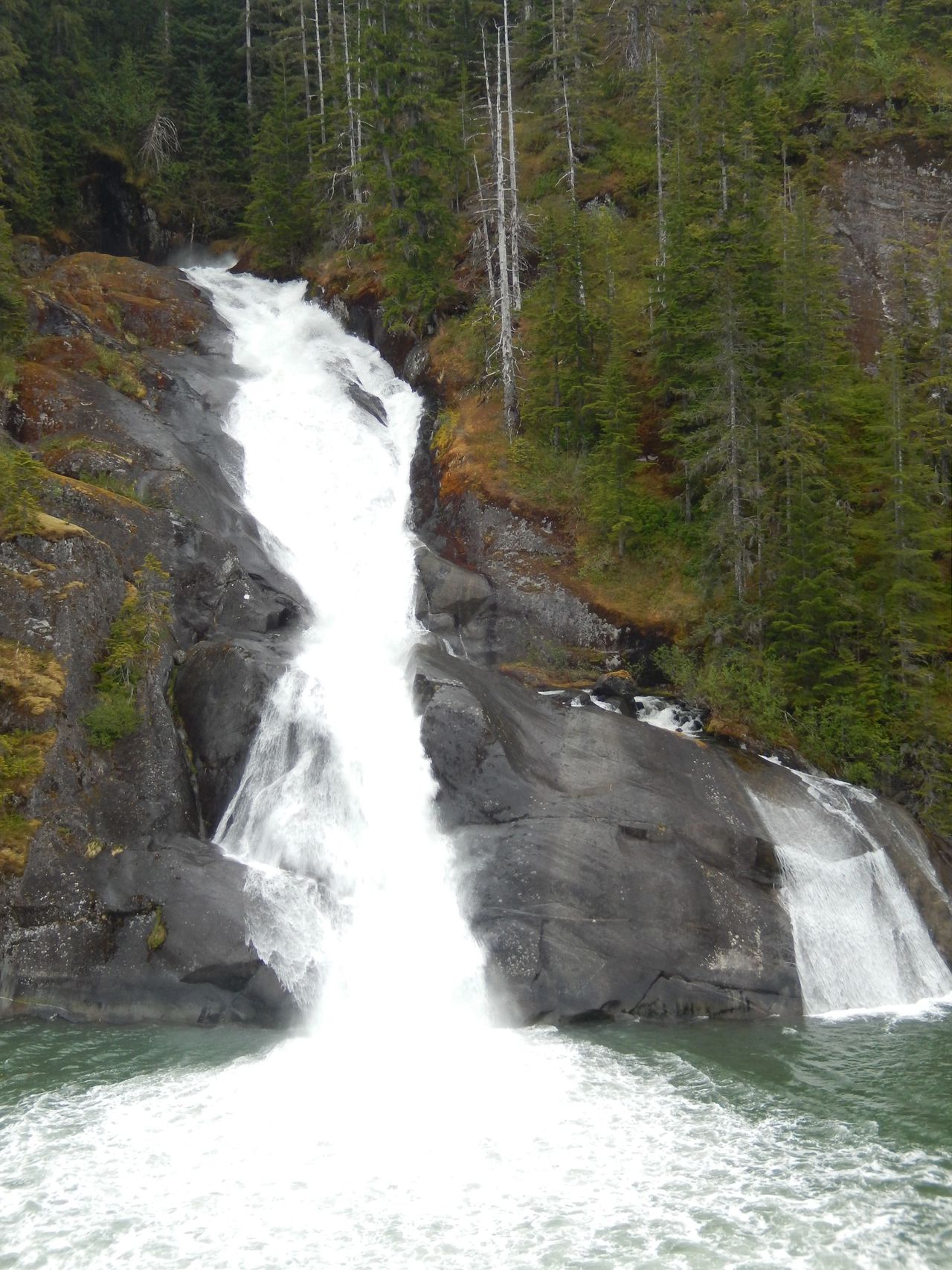 Nature is on full display anywhere you look while you're in Alaska.  