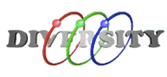 DIVERSITY SYSTEMS SOLUTIONS