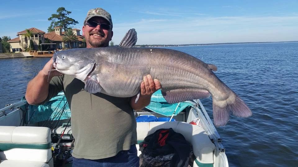 Trophy Catfish Trip Half Day