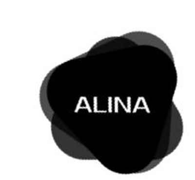 Logo with the name ALINA in bold white letters on an abstract black shape.