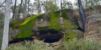 Moss-covered rock formation with a cave opening surrounded by trees and bushes.