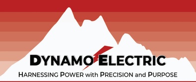 DYNAMO ELECTRIC