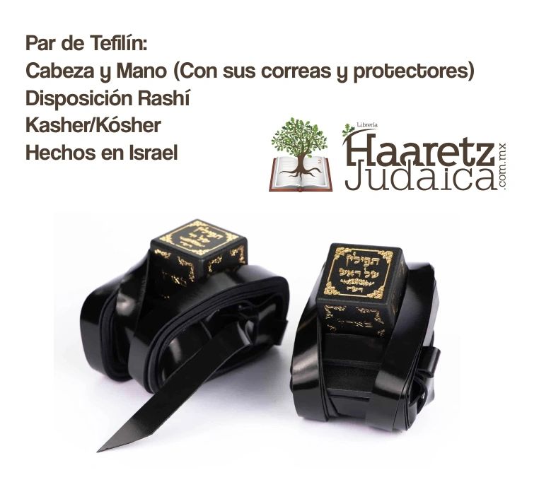 Basic Kosher Tefillin