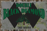 Double Black Diamond Tree Services