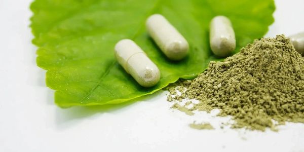 Supplement
