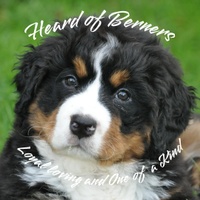 Heard of Berners