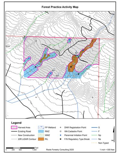 A black and white forest activity map