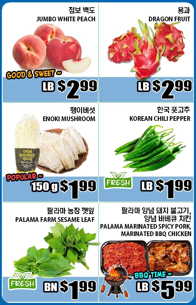 cr=t:0%25,l:0%25,w:100%25,h:100%25